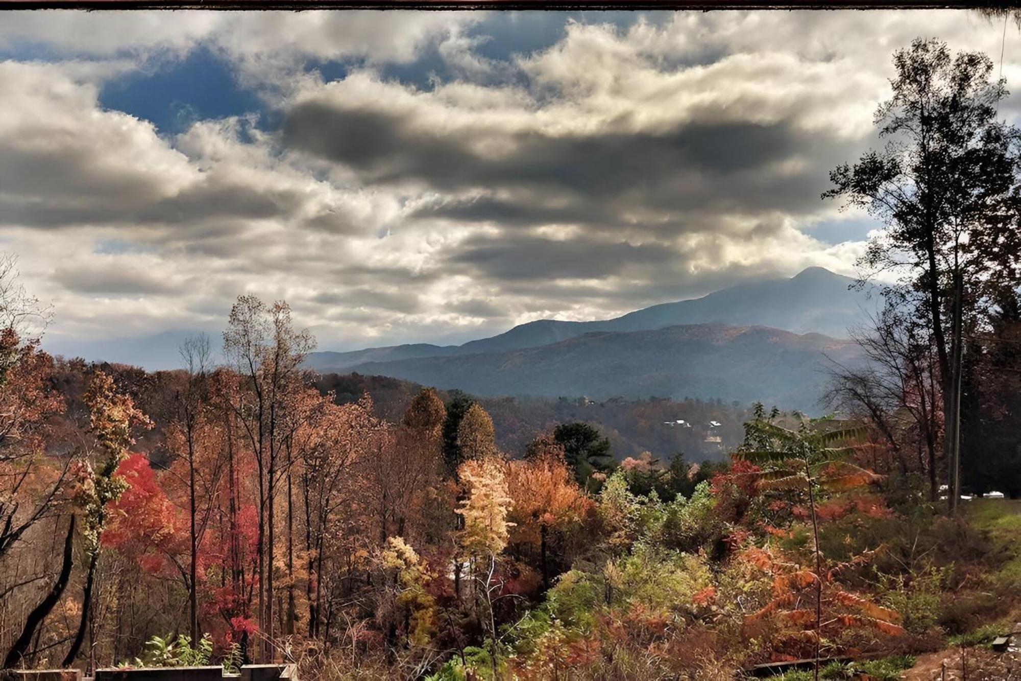 Prime Mountain Cabin - Near Galinburg Downtown Gatlinburg Exterior foto